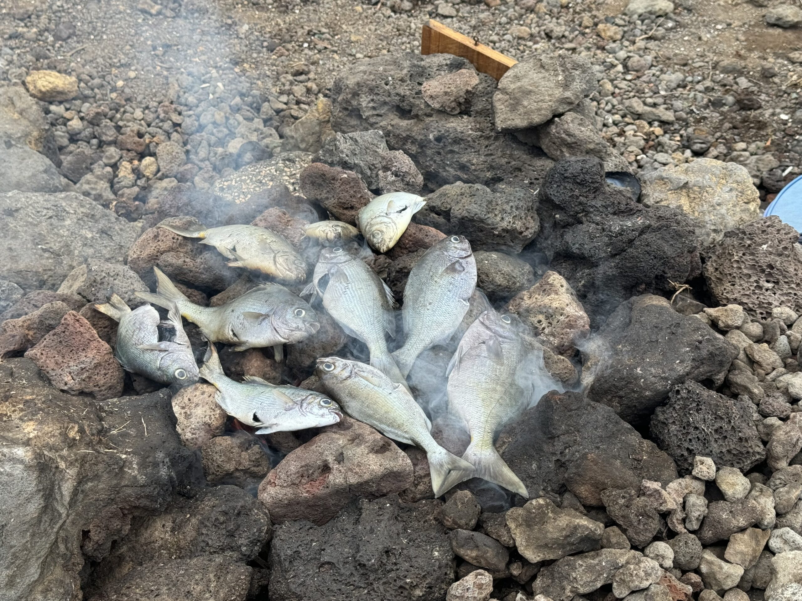 Tunu Ahi – Forma Tradicional de Cocinar Peces